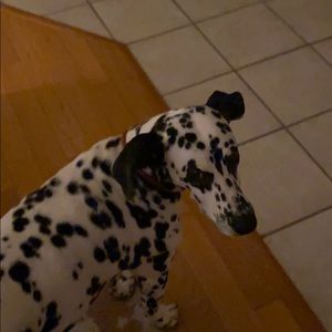 Meet your Posher, Edward